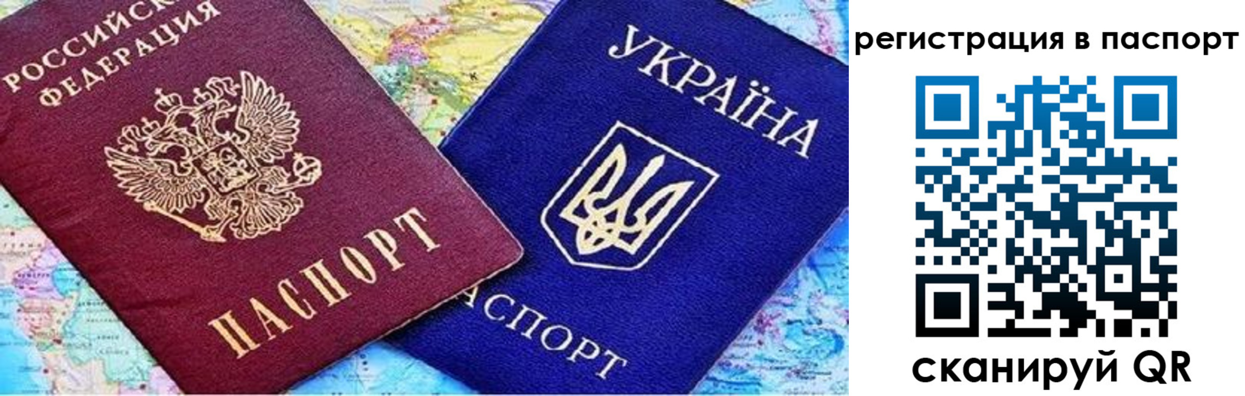 прописка гарантия в Стародубе
